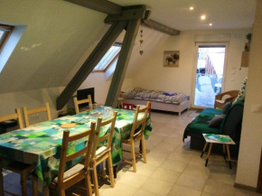 Appartement charmant à Lohr + 60 m² + terrasse et jardin